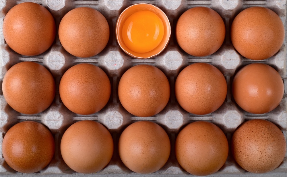 קרטון ביצים חומות ממבט על, אחת חצויה ומלאה חלמון וחלבון