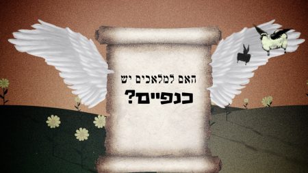 האם למלאכים יש כנפיים?