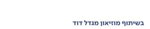 ירושלים שלי - בשיתוף מגדל דוד