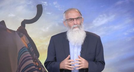 הרב סתיו