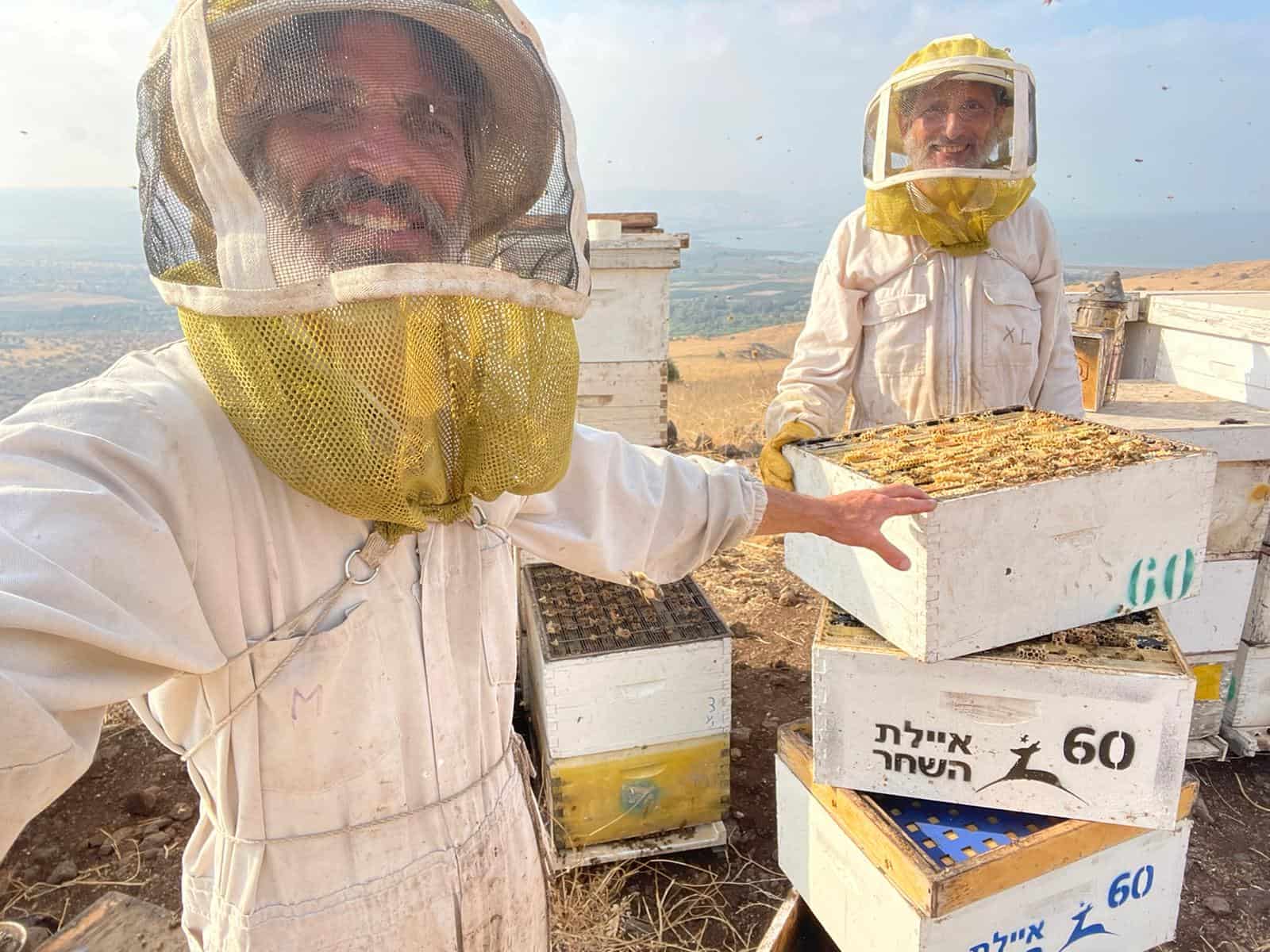 יש אתגרים ייחודיים בייצור דבש בישראל. צילום: באדיבות אתר מכוורת איילת השחר
