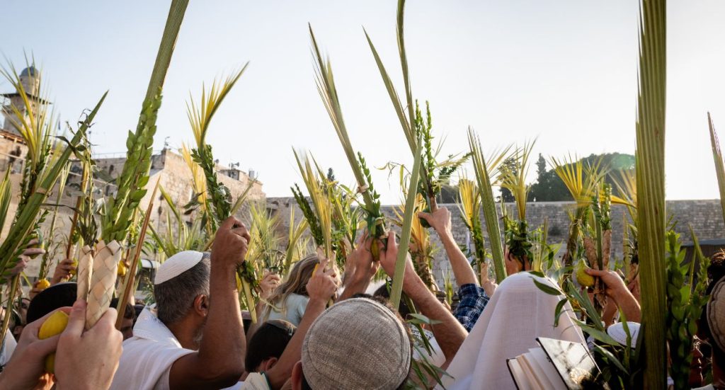 סוכות