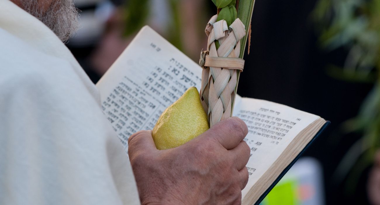 סוכות