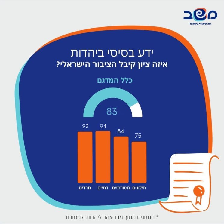 אינפוגרפיקה