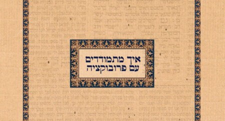 איך מתמודדים עם פרובוקציה