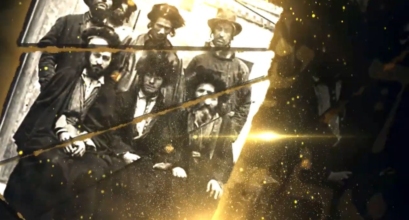 צהר לשורשים