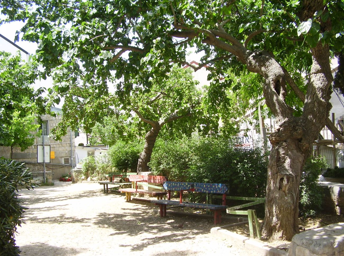 גן התות בין אוהל ומזכרת משה בירושלים. צילום: ד"ר אבישי טייכר, מתוך אתר פיקיויקי