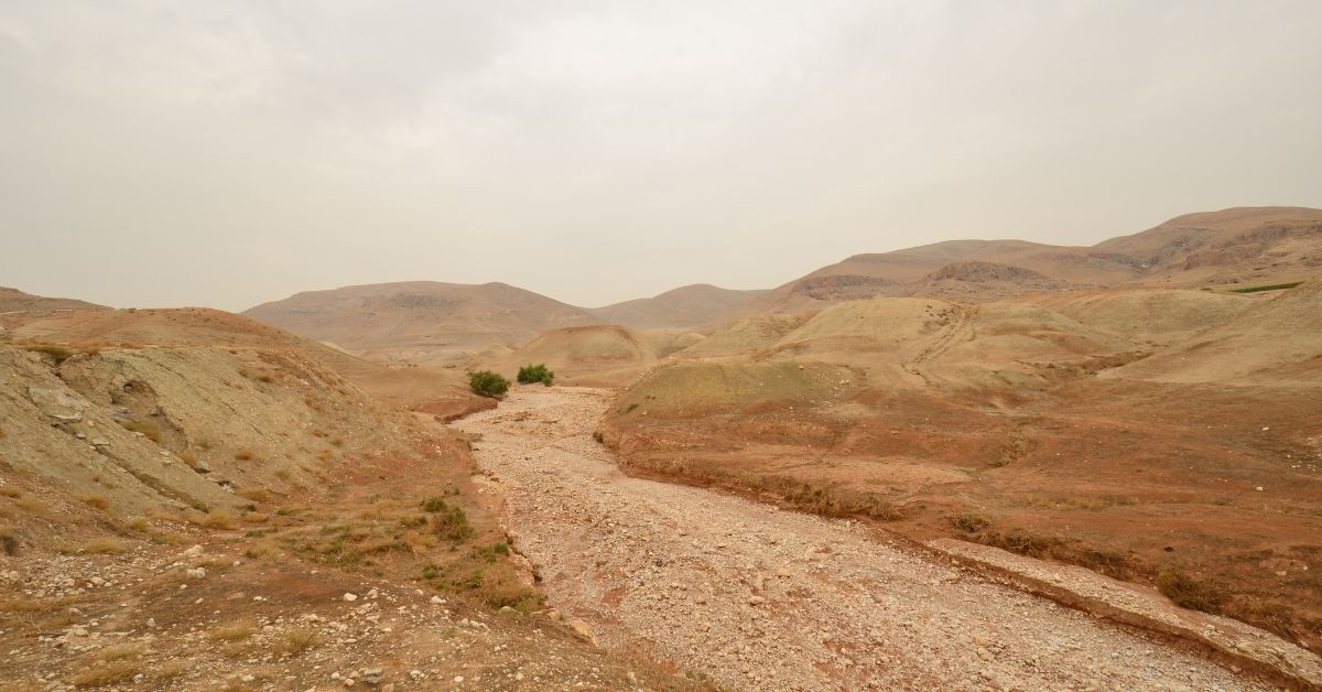 "ומולך שוקטת נחה ארץ הבקעה". נוף בקעת הירדן. צילום: גיורא לב, מתוך אתר פיקיויקי