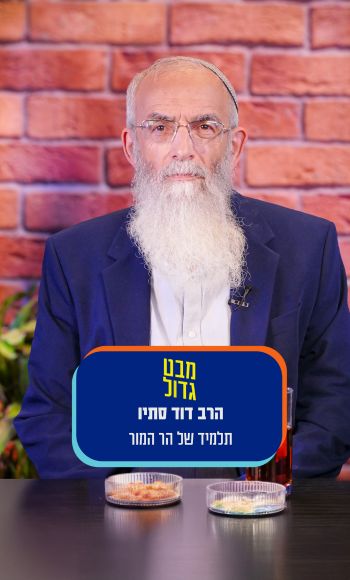 הרב סתיו