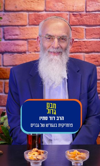 הרב סתיו