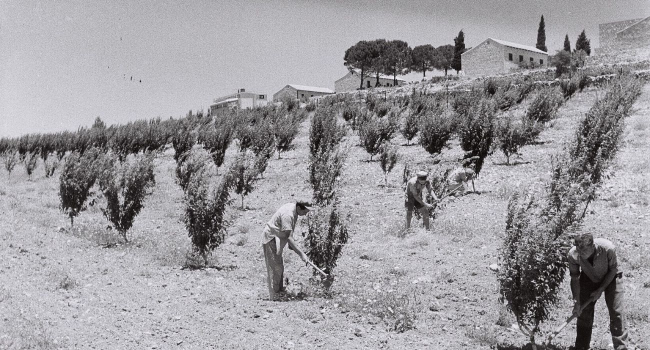כפר עציון ערב מלחמת העצמאות, 1947. צילום: זולטן קלוגר, אוסף התצלומים הלאומי, לע"מ