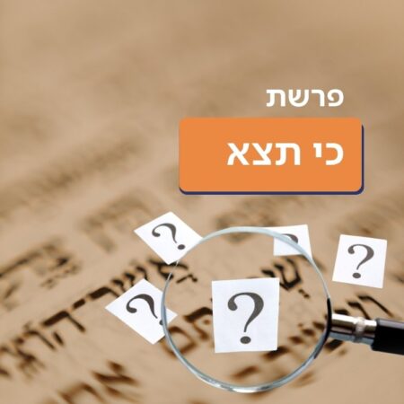 פרשת כי תצא